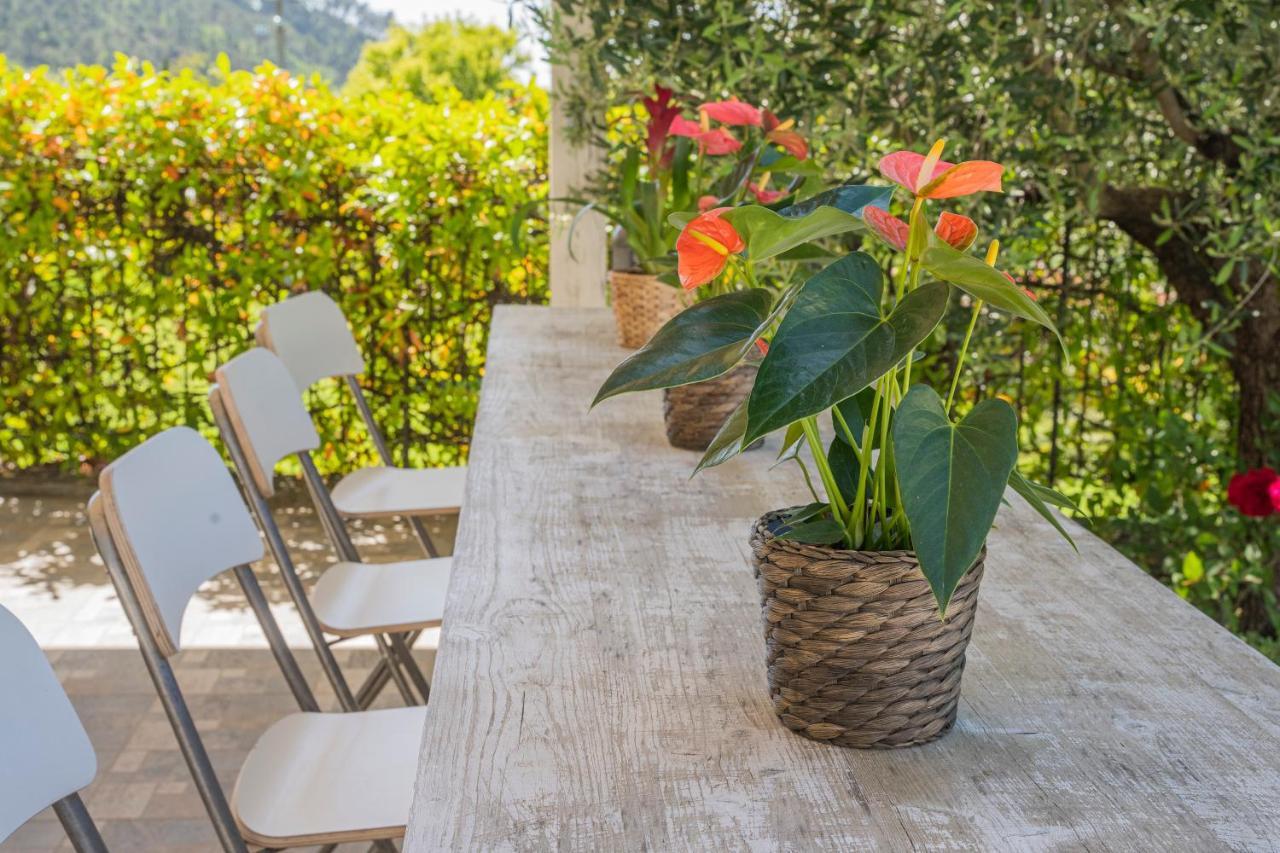 Timo - Villa Luisa: Con Vasca Idromassaggio Privata Casarza Ligure Exteriér fotografie